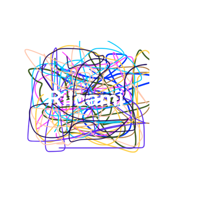 Riicami